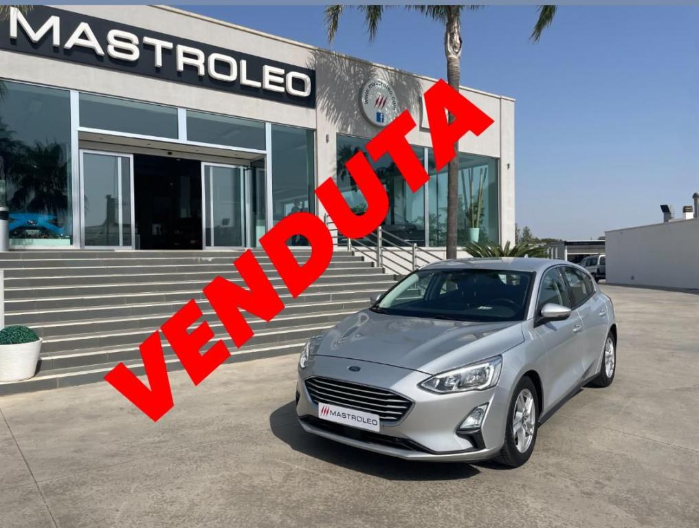 FORD - Focus - 1.5 EcoBlue 120CV 5p. Business