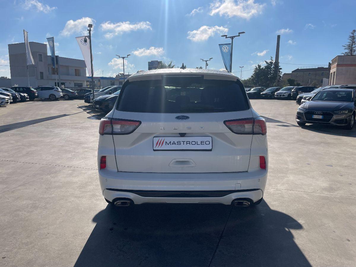 FORD - Kuga - 1.5 EcoBlue 120 CV aut. 2WD ST-Line